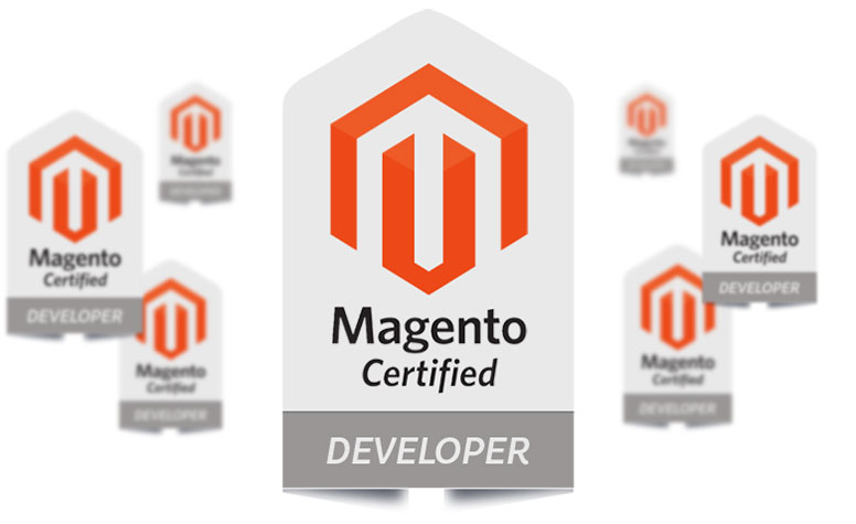 Zertifizierte Magento-Entwickler | schoene neue kinder