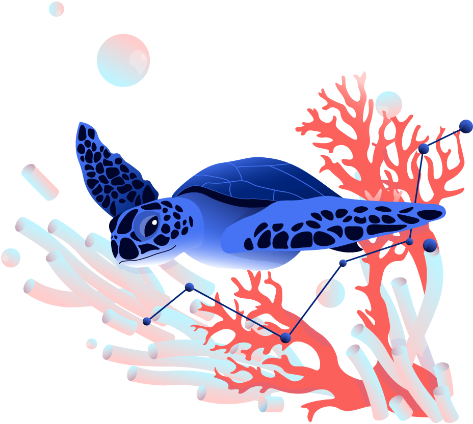 Eine Schildkröte in einem Korallenriff mit Grafen symbolisiert Wachstum für B2B Unternehmen.