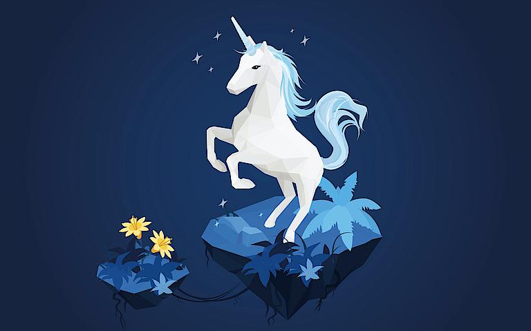 Hybris Unicorn