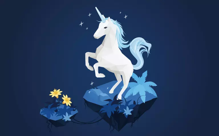 Hybris Unicorn