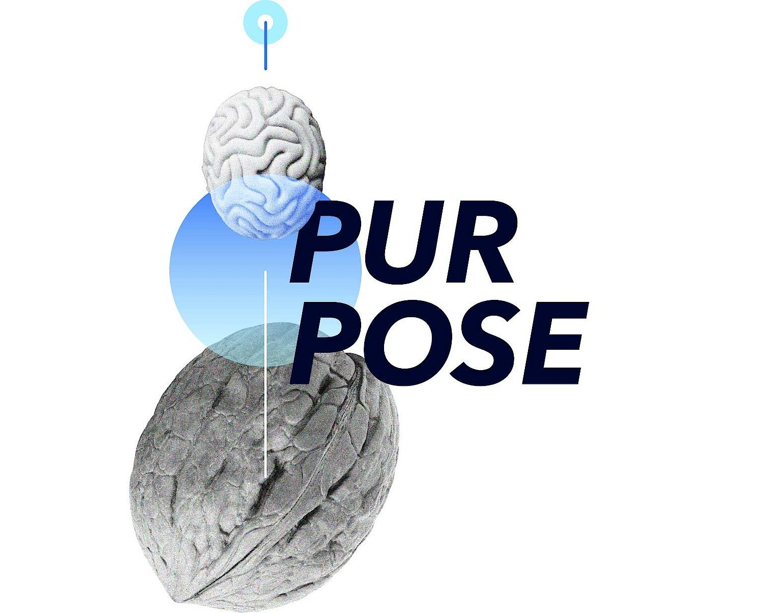 Wort "Purpose" mit Walnuss und Gehirn